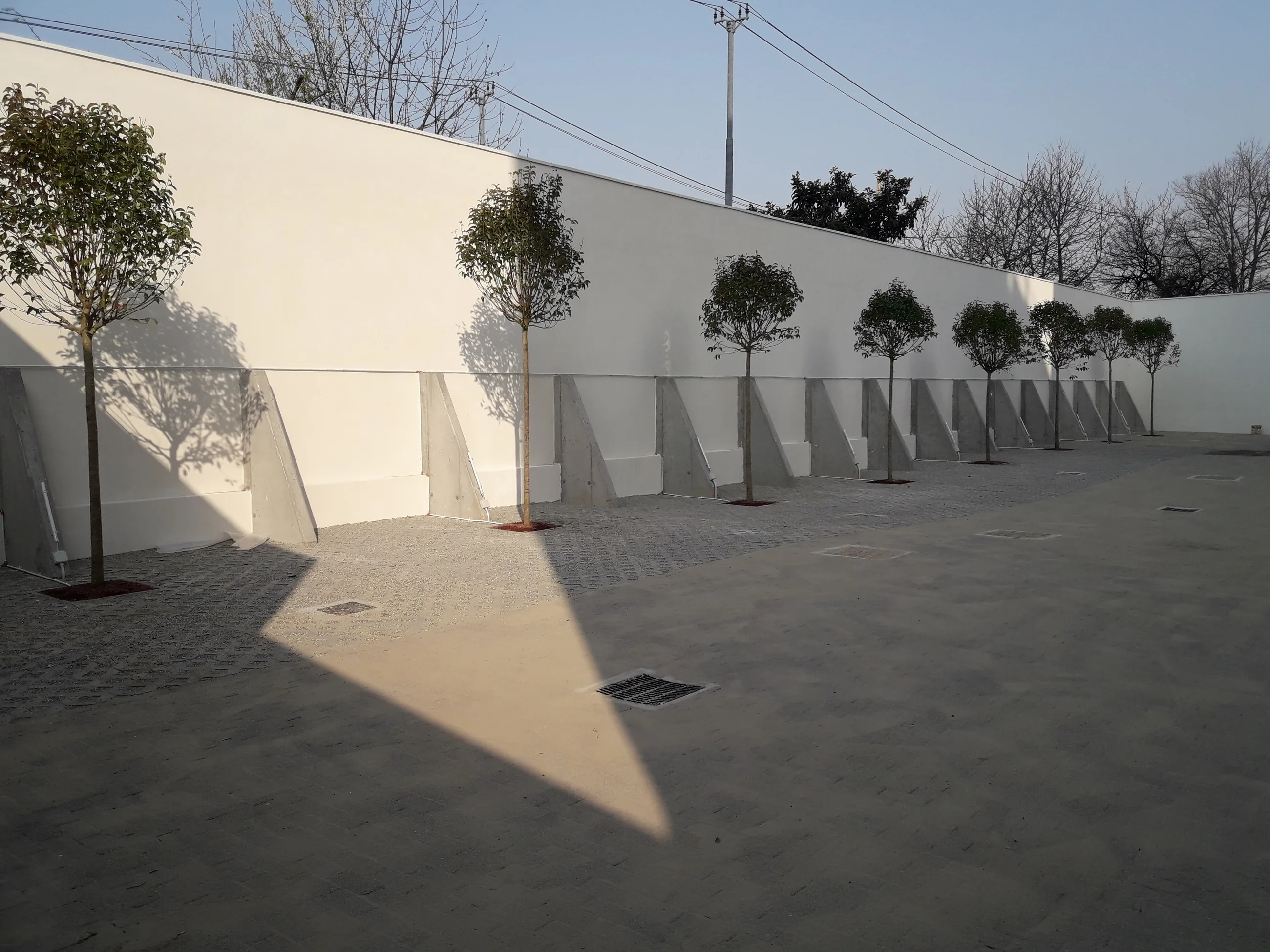 Abitare in Poste — Via Tirone — Spazio esterno pavimentato con alberature