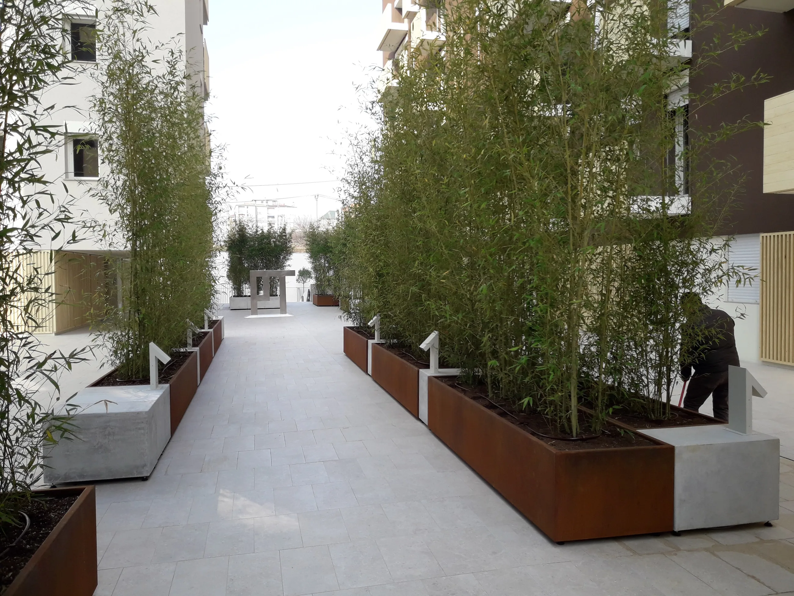 Abitare in Poste — Via Tirone — Percorso comune con alberi e fioriere